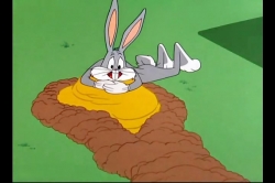 باگز بانی (باگز بانی در سواحل مدیترانه)